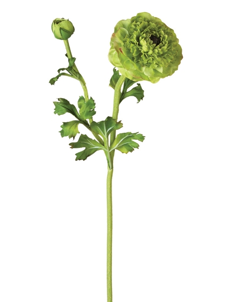 Picture of 21" GARDEN RANUNCULUS W/BUD