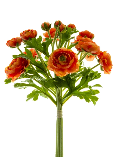 Picture of 12"  RANUNCULUS BOUQUET