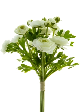 Picture of 12" RANUNCULUS BOUQUET