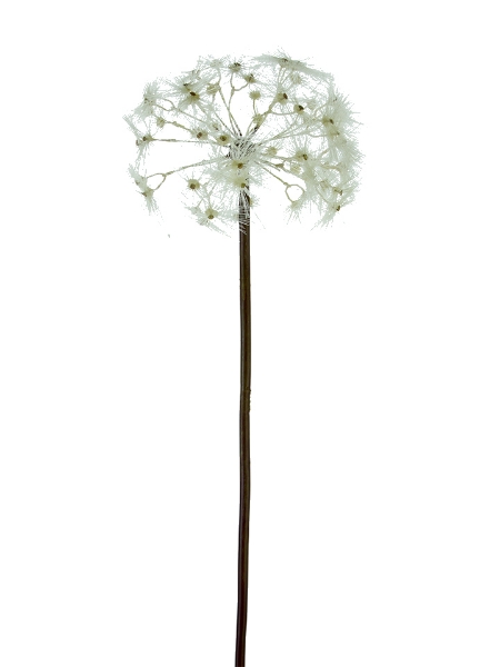 Picture of 43" ROUND DANDELION SPRAY