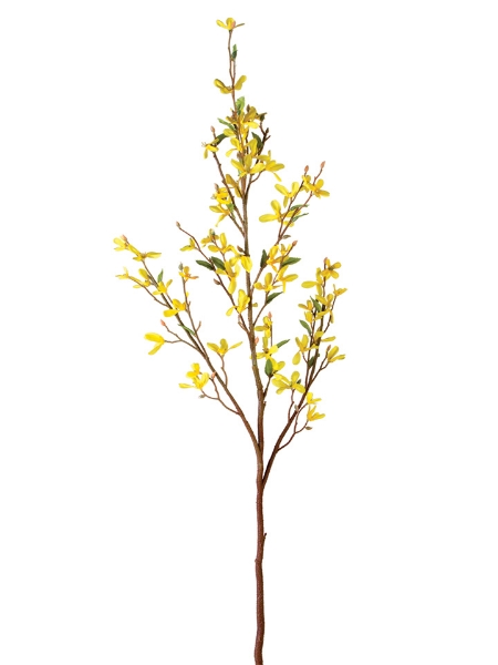 Picture of 39" FORSYTHIA SPRAY