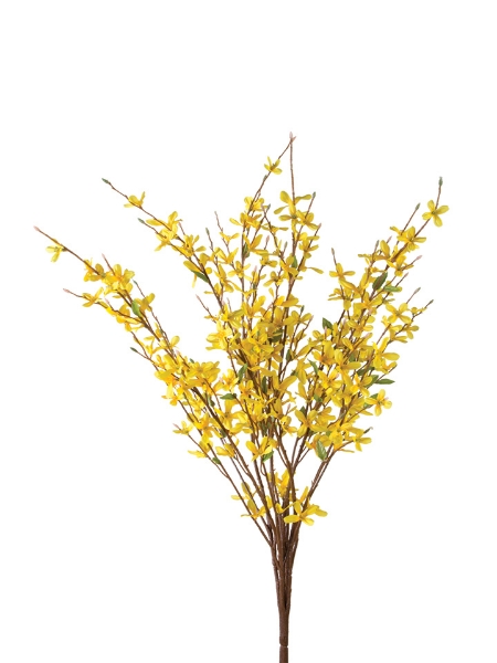 Picture of 34" FORSYTHIA BUNCH