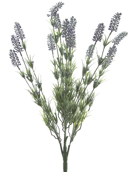 Picture of 24" LAVENDER BUSH X12