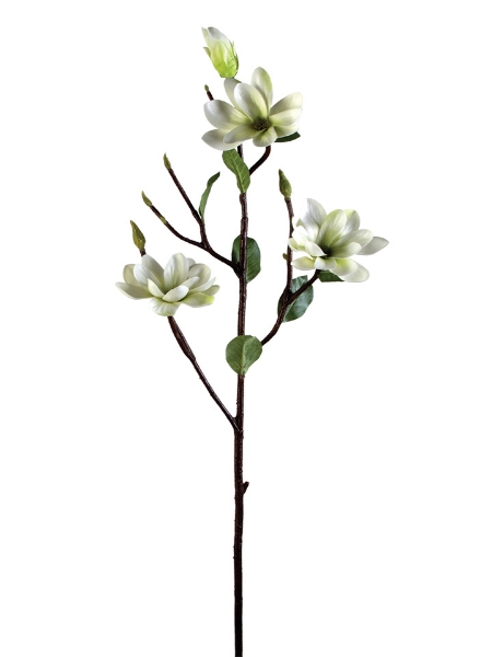 Picture of 29" MAGNOLIA STEM