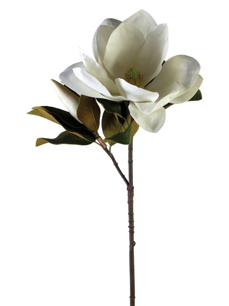 Picture of 41"COLLOSAL MAGNOLIA SPRAY