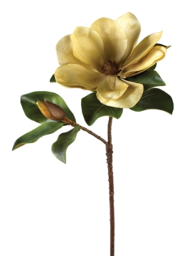 Picture of 32" MAGNOLIA SPRAY