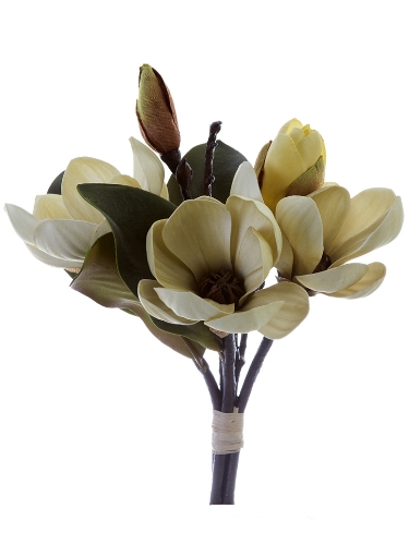 Picture of 11" MAGNOLIA TREE BUNDLE