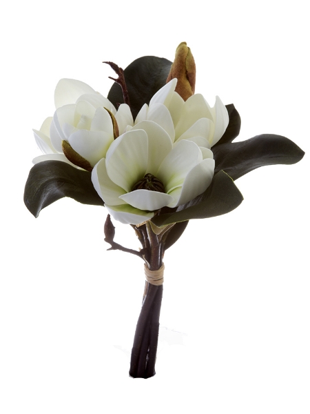 Picture of 11"MAGNOLIA TREE BUNDLE