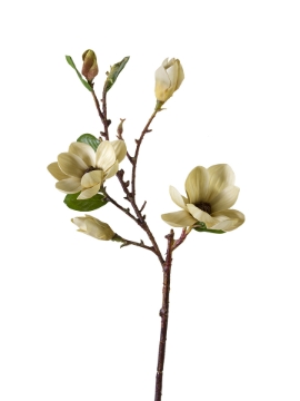 Picture of 34" MAGNOLIA TREE SPRAY