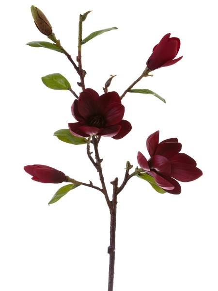 Picture of 34"MAGNOLIA TREE SPRAY