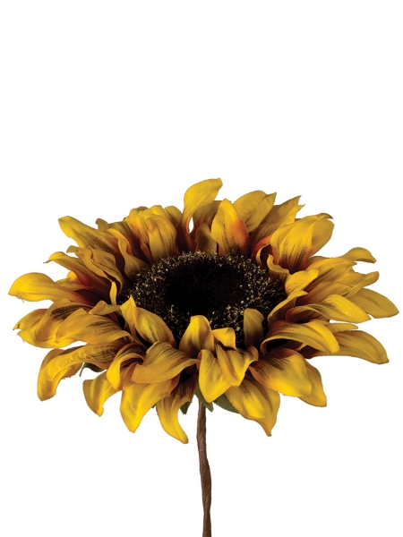 Picture of 8" HELIANTHUS SUNFLOWER PICK