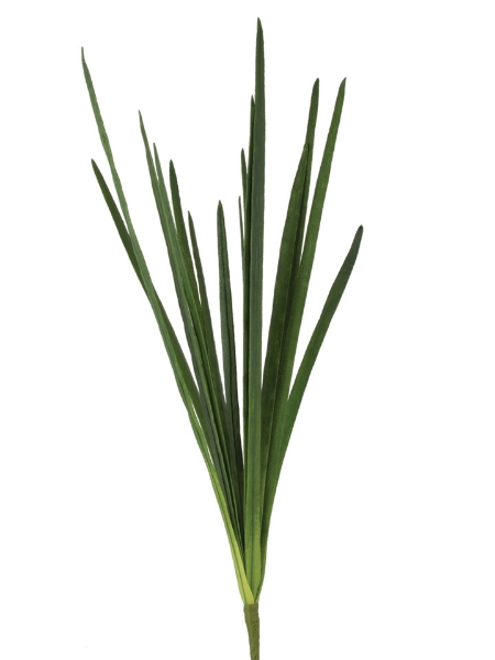 Picture of 26" CYMBIDIUM LEAF SPRAY