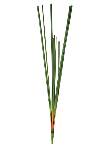 Picture of 40" CATTAIL LEAVES