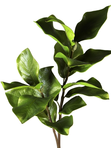 Picture of 37" CEIBA LEAVES BRANCH