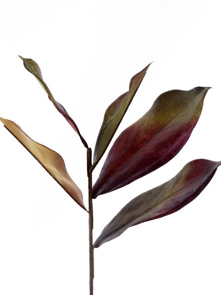 Picture of 15" MAGNOLIA LEAF PICK