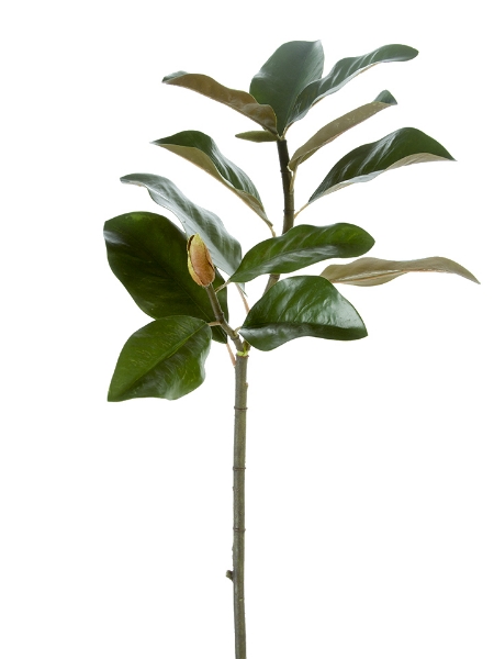 Picture of 32" MAGNOLIA LEAVES STEM W/BUD