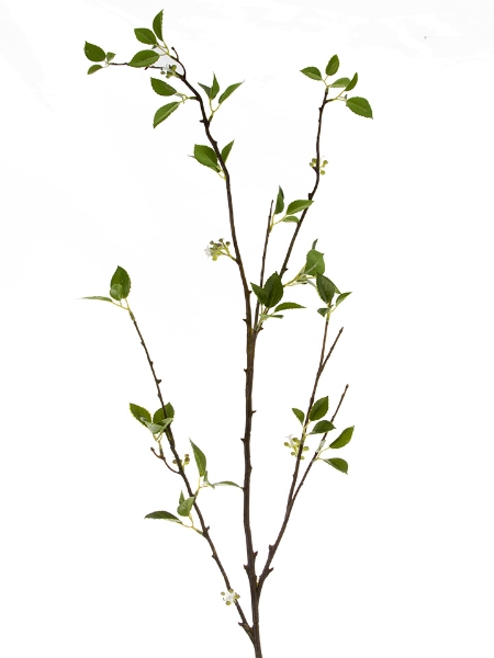 Picture of 55" BOUVARDIA VINE BRANCH