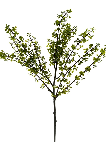 Picture of 39" SPEKBOOM LEAF SPRAY