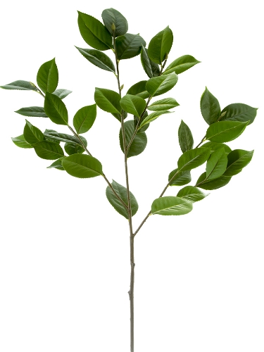 Picture of 35" TEA LEAF SPRAY