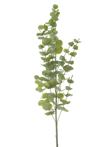 Picture of 40" SPIRAL EUCALYPTUS SPRAY