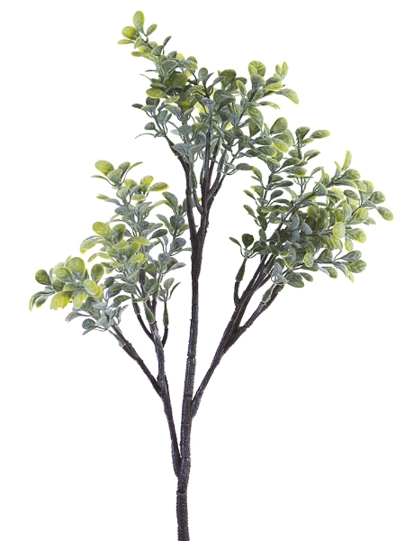 Picture of 20" EUCALYPTUS BUSH