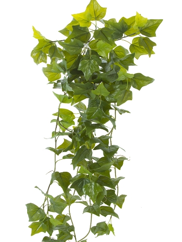 Picture of 52" NEEDLE POINT IVY BUSH