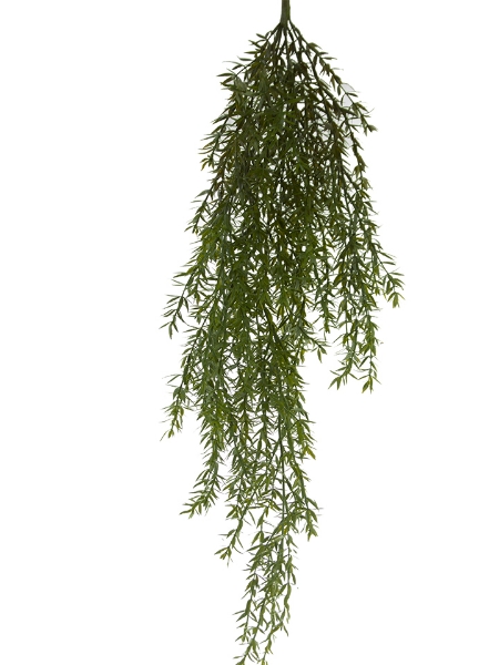 Picture of 38" ROSEMARY SPRAY