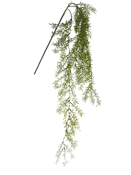 Picture of 47" HANGING SPRINGERI SPRAY