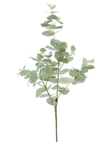 Picture of 39" SPIRAL EUCALYPTUS SPRAY