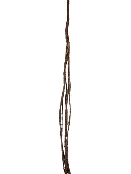 Picture of 76" TWIG VINE