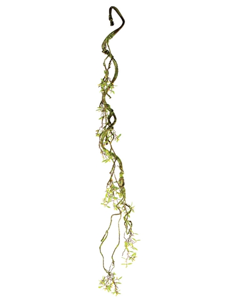 Picture of 39"BLOOMING MOSS VINE