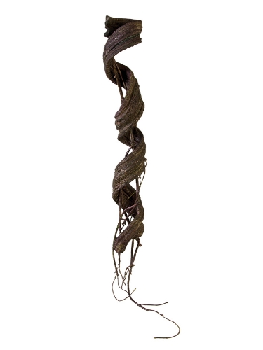 Picture of 32" SEASONED VINE