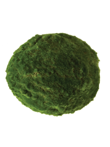 Picture of 9" MOSS BALL