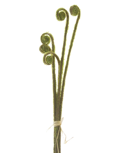 Picture of 24" ULUHE FERN BUNDLE