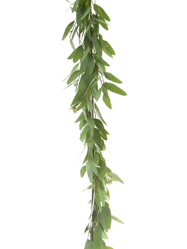 Picture of 5' LONG LEAF EUCALYPTUS GARLAND