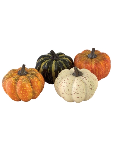 Picture of 3.5" MUNCHKIN MIX PUMPKINS