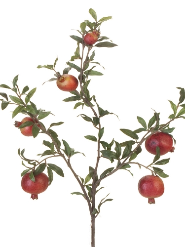 Picture of 32" POMEGRANATE SPRAY