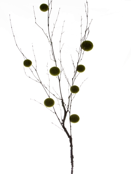 Picture of 51"BRANCH W/MOSS BALLS