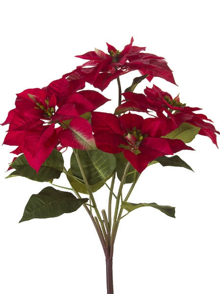 Picture of 29"POINSETTIA BUSH X5