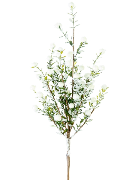 Picture of 21" SNOWY BOXWOOD BERRY SPRAY