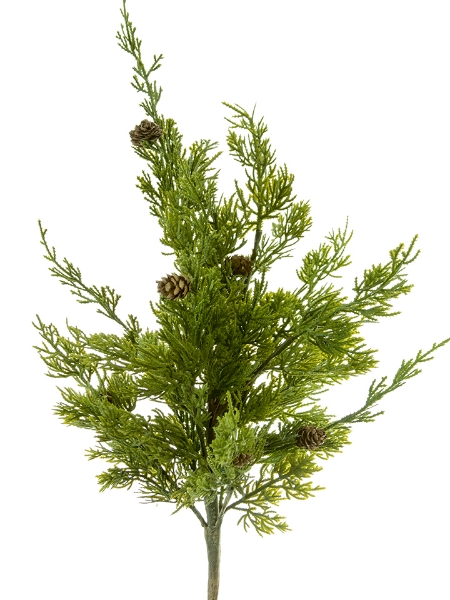 Picture of 20" CYPRESS W/CONE BUSH