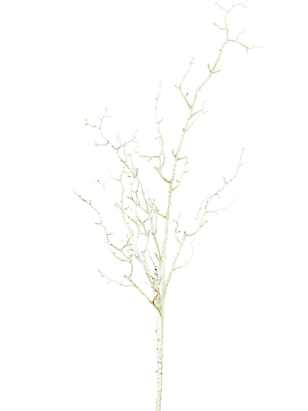 Picture of 36" TWIG BRANCH