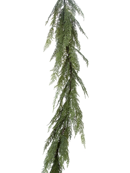 Picture of 6' CYPRESS GARLAND