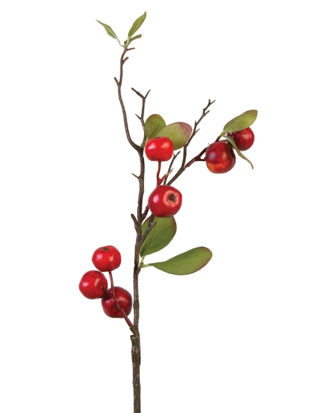 Picture of 16" CHERRY BERRY SPRAY S