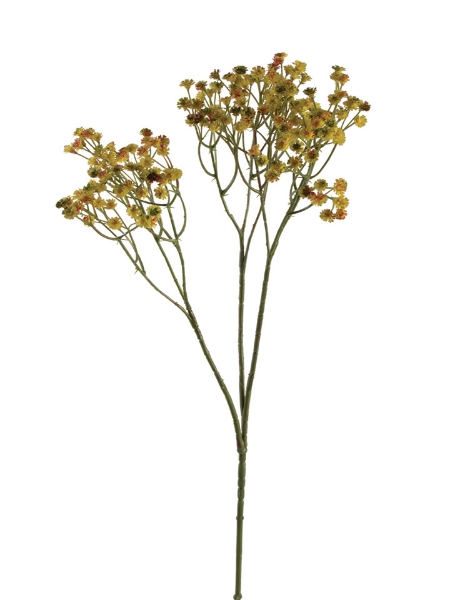 Picture of 32" GYPSOPHILA