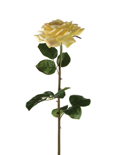 Picture of 28" MIDIUM OPEN ROSE