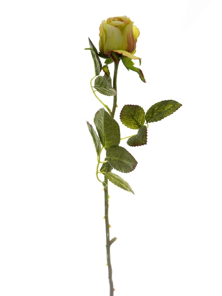 Picture of 24” ROSE BUD STEM