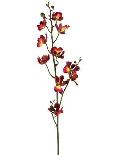 Picture of 32" ONCIDIUM SPRAY