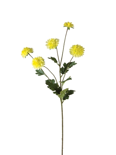 Picture of 32" MINI MUM SPRAY