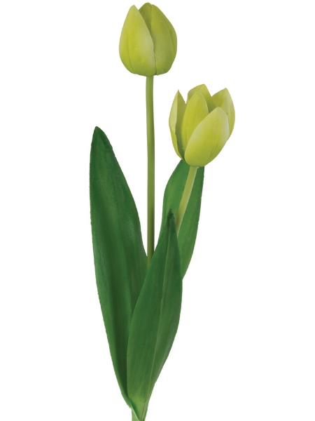 Picture of 25" TULIP SPRAY